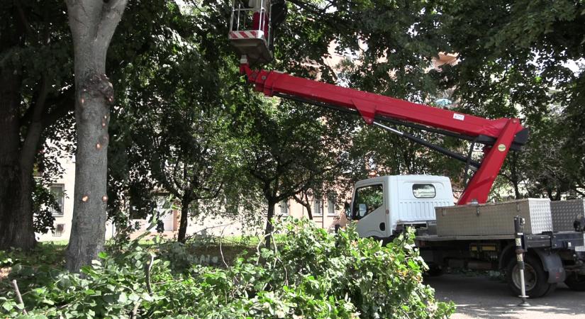 A Netta-Pannonia, a Via Kanizsa és a lakosság összefogásával tisztul meg a Garay utca parkolója