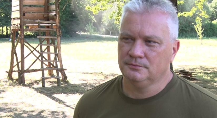 Őzek násza: Fokozott figyelemmel kell közlekedni az utakon