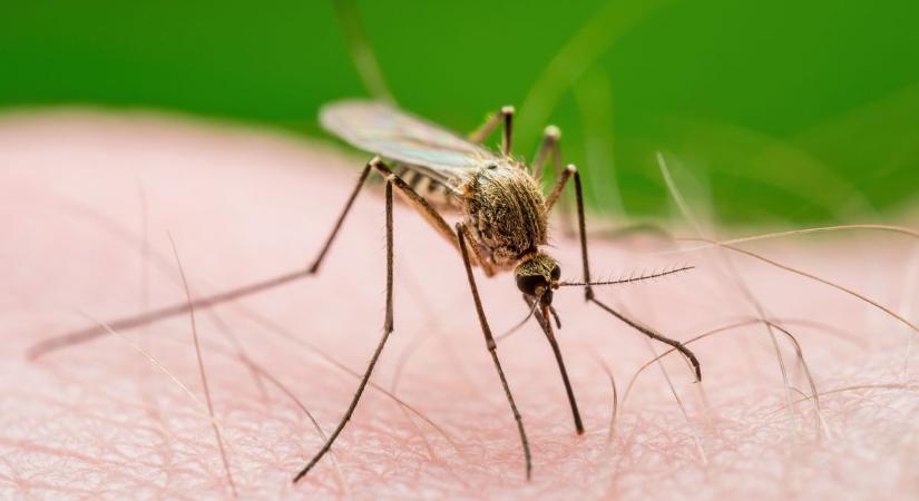 Életveszélyes járványok ütötték fel a fejüket népszerű nyaralóhelyen – figyelmeztetnek a hatóságok
