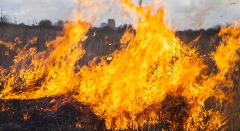 Újabb rémálom: lángokban áll a tarló és az erdő Baranyában