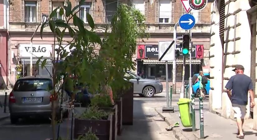Megszavazták Ferencváros baloldali képviselői Puzsér Róbert kávézójának hosszabbított nyitvatartását  videó