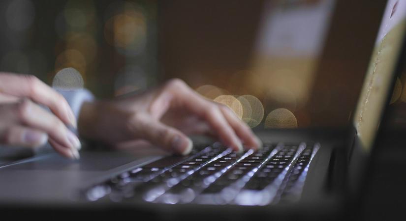 Alternatívát kapott a mobilalkalmzás: elérhetővé vált a DÁP saját honlapja