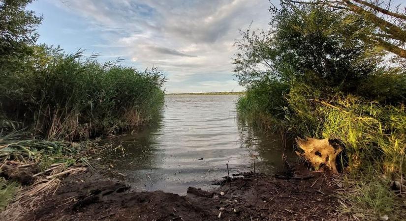 Kétnapos élménykirándulás a Kis-Balatonnál, ráadásul ingyen? Valóra válhat, csak rajzolnod kell!