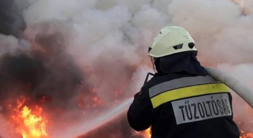 Hatalmas bozóttűz pusztított Pomáz és Csobánka között