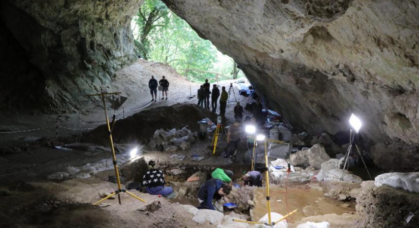 Barlangi medve nyomait találták a Bükkben
