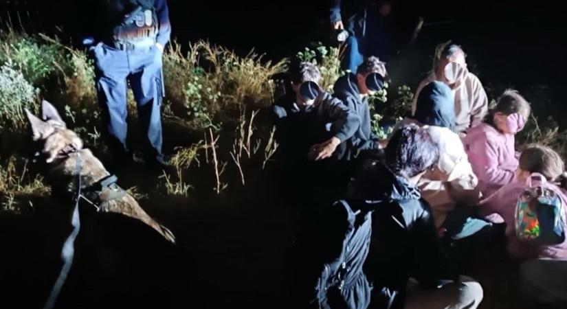 Villámgyors bevetés Ásotthalmon, kutyás egység buktatta le a határsértőket