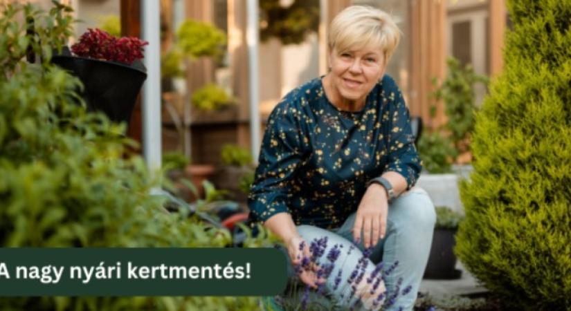 Miért nem segít az öntözés a kánikulában? – A lombtrágyázás új szerepe a kertvédelemben