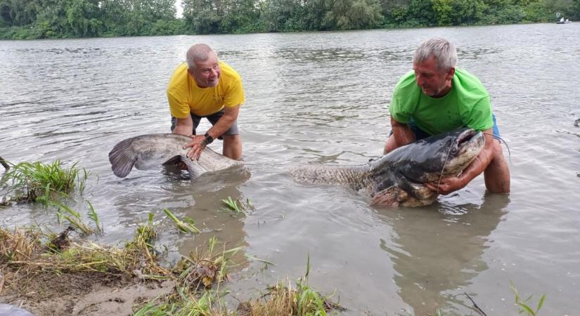 Rakamazon bebizonyosodott, hogy a méret a lényeg