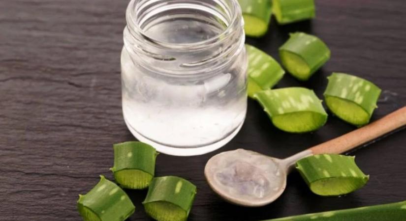 Aloe vera: kívül-belül gyógyír