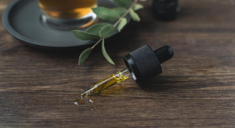 Enyhébb kannabiszszabályok jönnek Csehországban