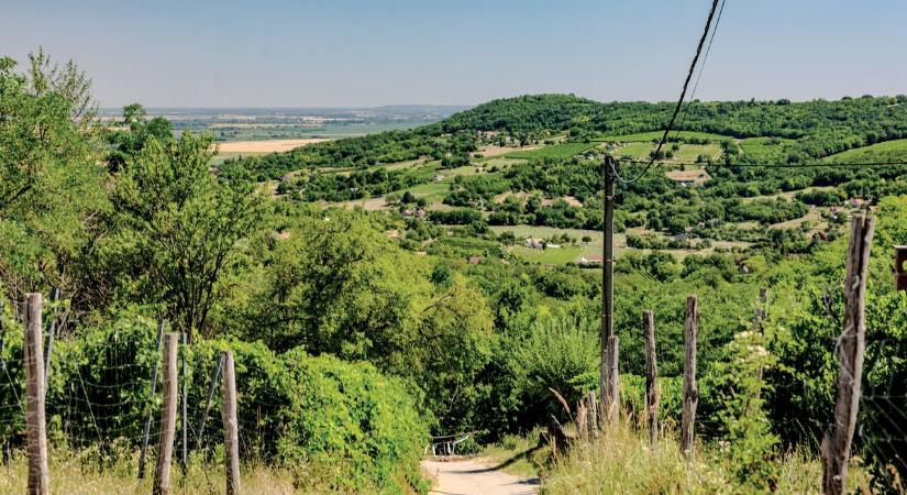 Több ezer éve otthon vagyok e tájban