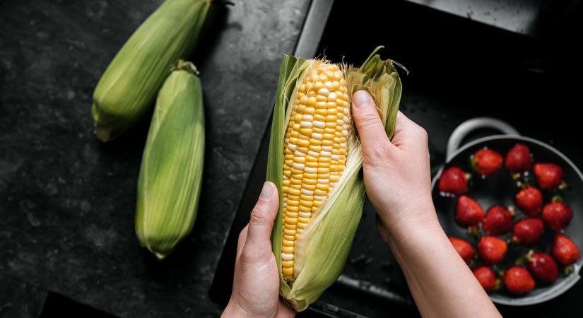Valószínűleg eddig rosszul főzted a kukoricát – mondjuk, hogy kell, és jelenleg hol a legolcsóbb!