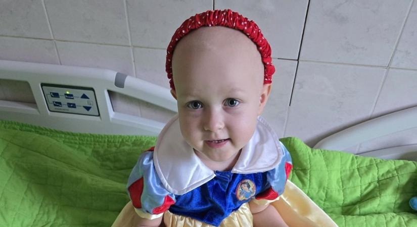 Bogika a kemoterápia utolsó szakaszában jár, de nincs hová hazatérnie, steril szobára gyűjtenek