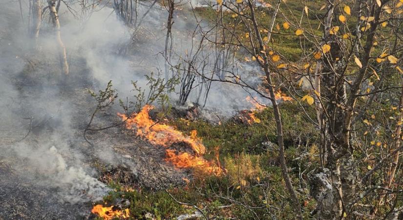 A Mikulás földjén ritkaságszámba menő kánikula után felütötték fejüket az erdőtüzek is