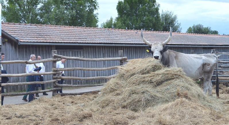 Természetvédelmi fejlesztés indul a Duna-Dráva Nemzeti Parkban