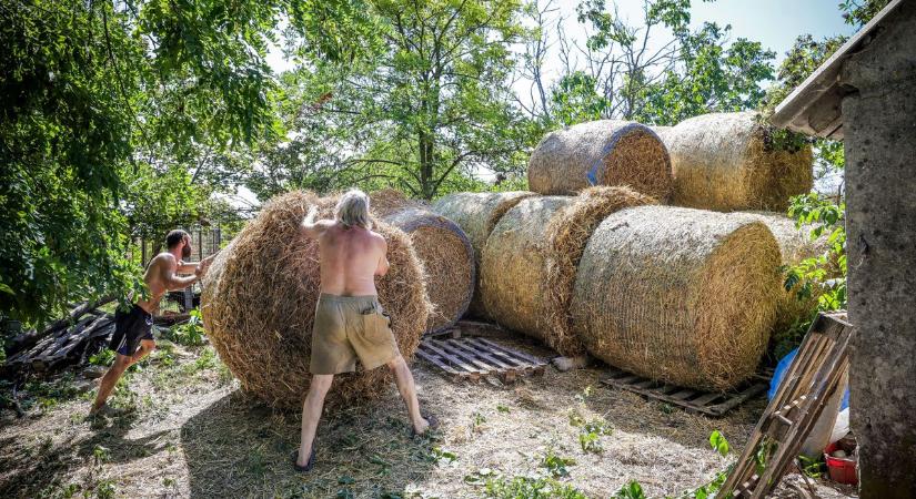 Tíz bálányi gondoskodás – így segítettek a kutyamenhely lakóinak