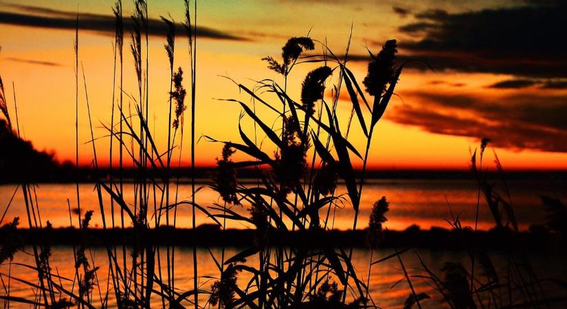 Újra reflektorfényben a Balaton térségének biciklis útvonalai!