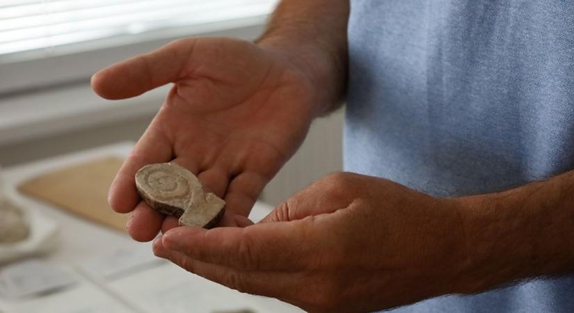 Rajongásból okozott 20 milliós kárt a kamasz az esztergomi múzeumnak fotók