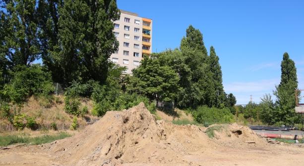 Új élet a régi Bánkiban – közösségi kertet hoznak létre az udvaron