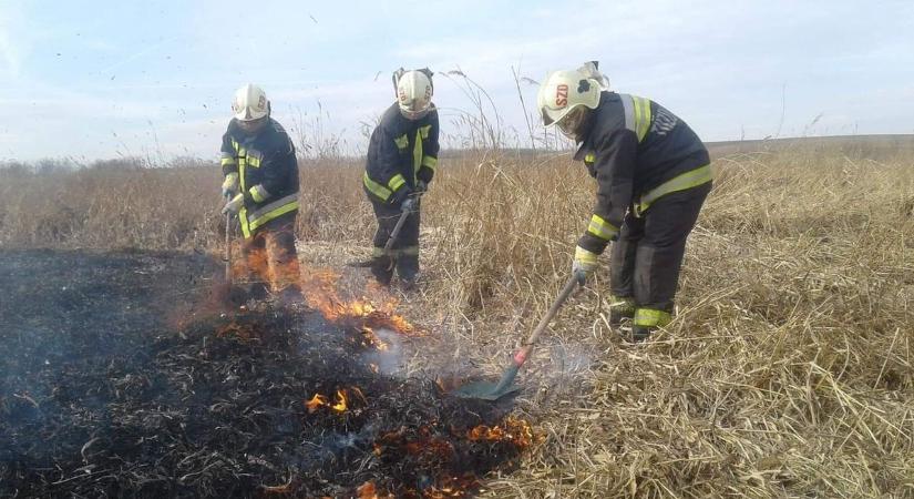 Öt hektár lángolt Keszőhidegkúton – négy város tűzoltói érkeztek a helyszínre