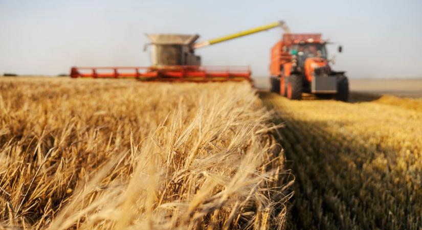 Babis újra bevásárolt Romániában: terjeszkedik a cseh agrárbirodalom – most a Maragro Groupot szerezte meg