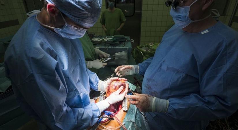 Sokak reménye lett Nyíregyháza, szervtranszplantációban élen jár a megyei kórház