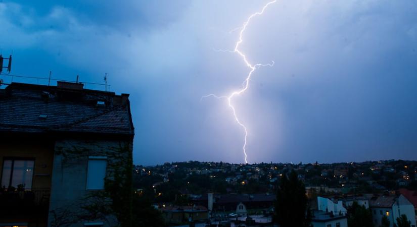 A tudósok is megdöbbentek, amikor kiderült, mennyi fát pusztítanak el évente a villámok