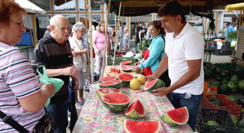 Most akkor lékelhet a dinnyés, vagy nem? A Nébih válasza a csíkos öves paskolókat is meglepheti