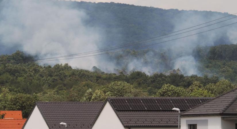 Lángolt az erdő Veszprémnél, kiderült, mi okozta a tüzet