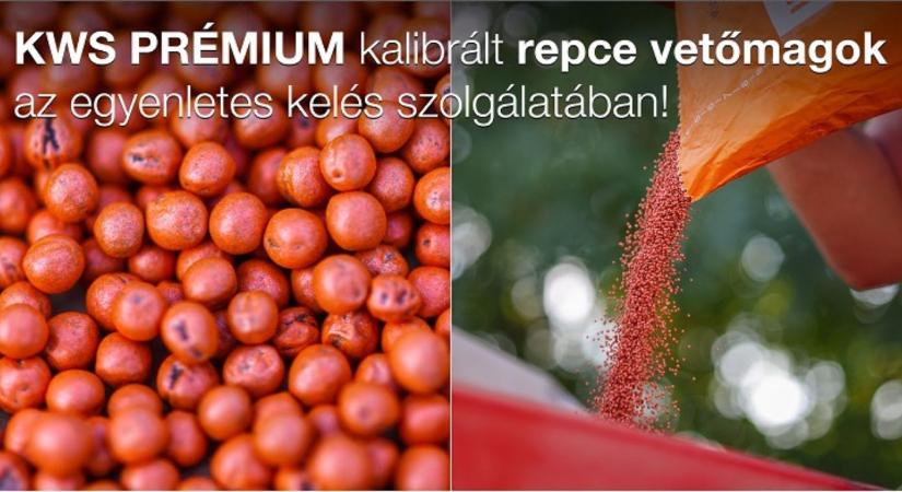 Tíz éve első a repcetáblákon!