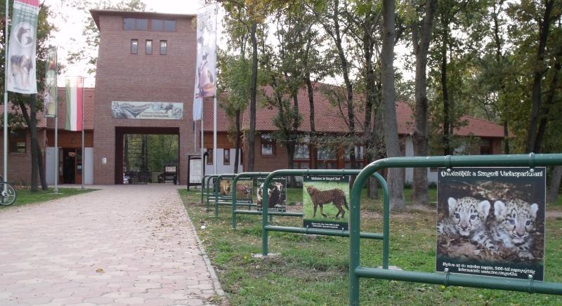 Esti állatkerti túrát szervez a szegedi Vadaspark