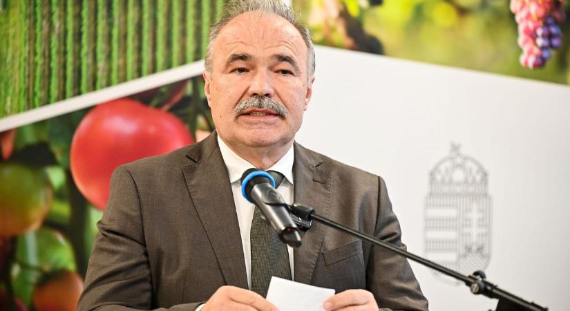 Nagy István szerint semmi nem lesz a Bábolnának szánt kormányzati kárpótlásból, amit a dögtemetőért kaptak volna