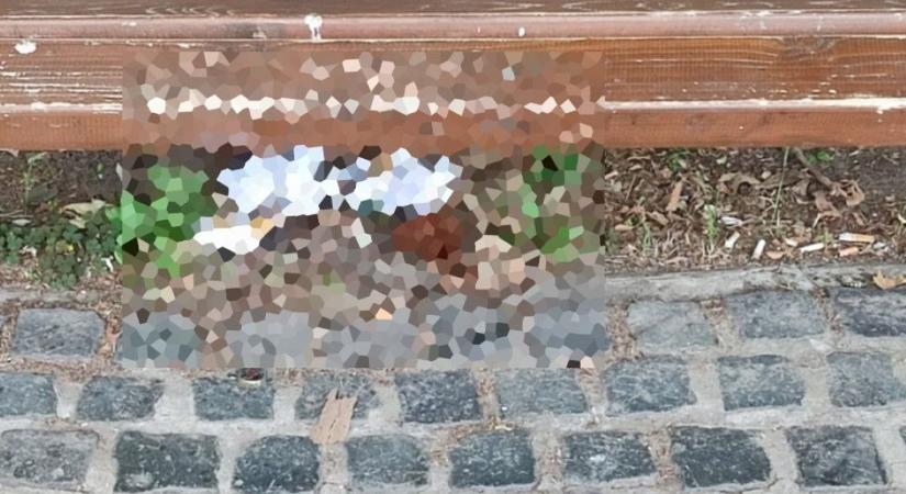 Felháborodást keltett Esztergom új „f*sófantomja” – nyilvánosan végezte dolgát