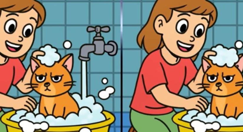 Fejtörő: te megtalálod a 3 különbséget a macskáját fürdető lány képén? – Csak a legélesebb elméknek sikerül