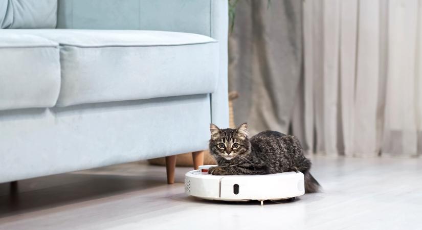 A robotporszívó és a macskakaki esete: nem fogod tudni eldönteni, hogy sírj vagy nevess