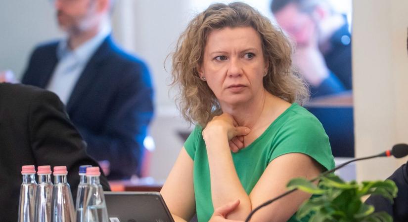Milliós napi bevételre tehet szert Magyar Péter bizalmasa a szálláskiadásból