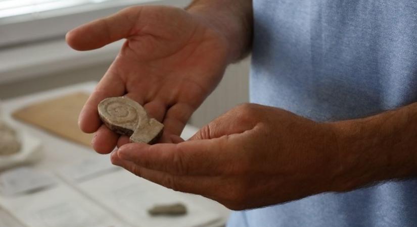 Az ország kölünböző múzeumaiból lopkodott össze műkincseket egy 17 éve fiú