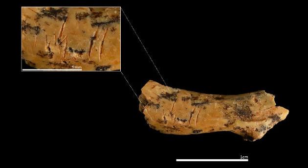 Atapuerca titka: archaikus emberek ettek meg egy kisgyermeket 850 000 éve