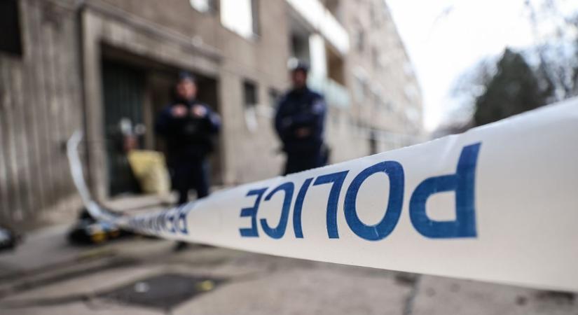 Befogadta, aztán megerőszakolta a lányt, online rendelt magának áldozatokat a rém
