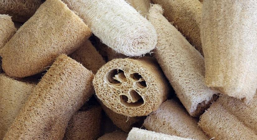 Erősebb a műanyagnál: itt a szuperluffa!
