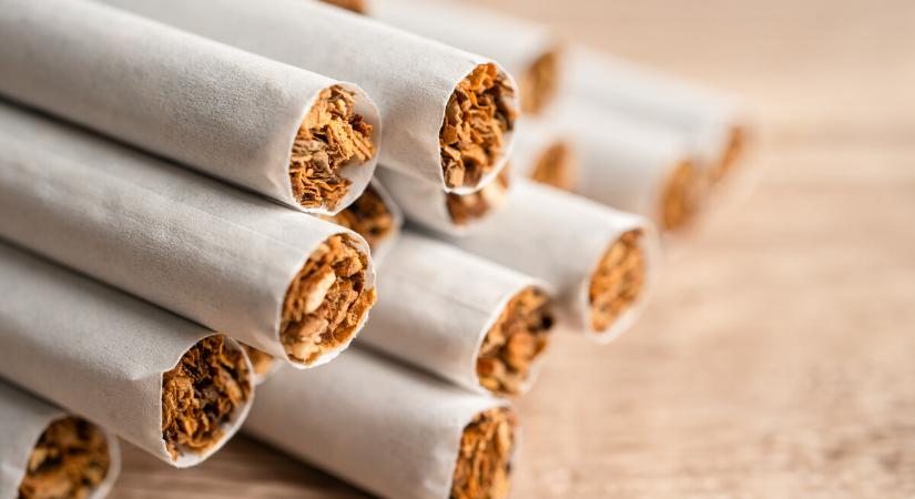A NAV 120 tonna dohányt és 118 millió szál cigarettát foglalt le tavaly