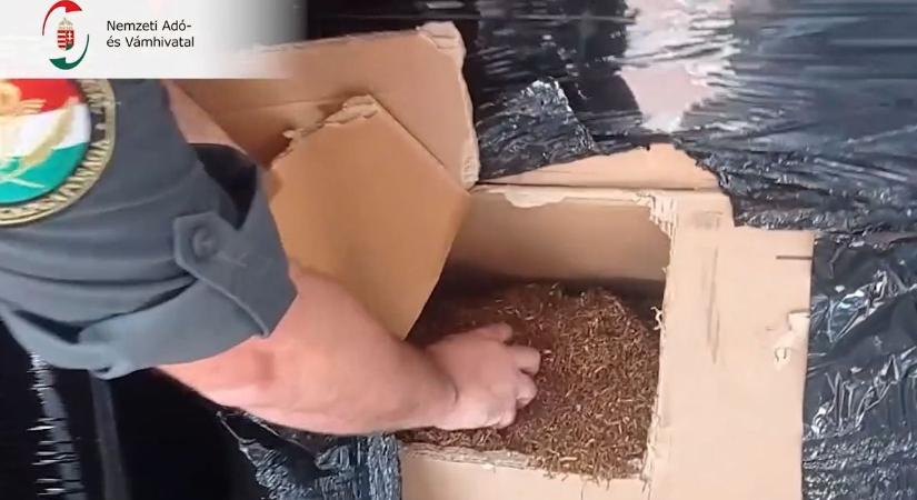 A NAV mindent lát: nem tűnhet el nyomtalanul a dohány Szabolcsban - videó