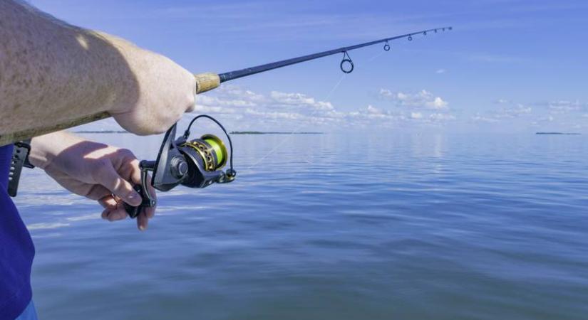 Döbbenetes külsejú, gigantikus halat fogtak ki a Balatonból - Videó készült róla