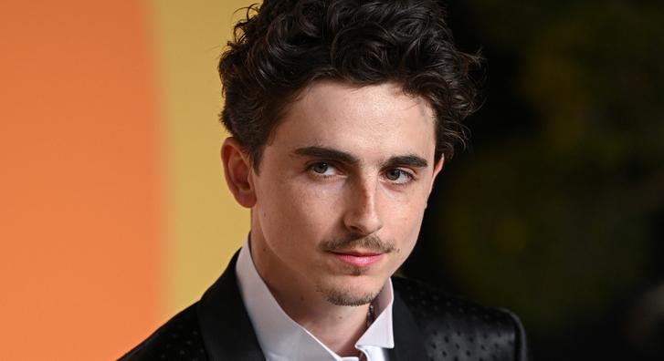 Budapesten tűnt fel Timothée Chalamet