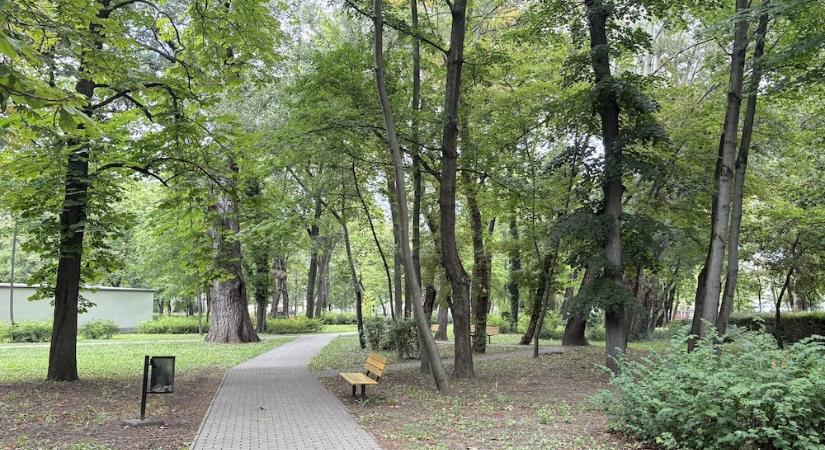 Közeledtek az álláspontok az Erzsébet liget ügyében Győrben