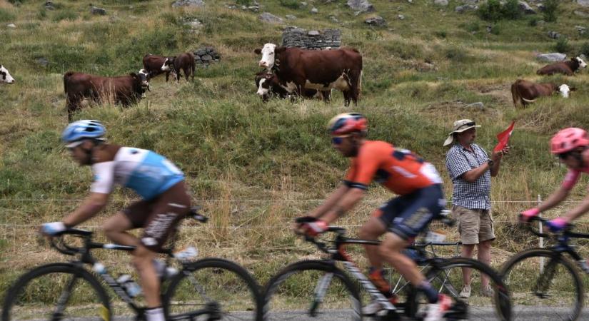 Fertőző szarvasmarha-betegség miatt átszabták a Tour de France útvonalát