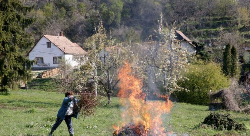 Botrányos ügy a Mecsekben: tilalmat szegtek a vandálok, a hatóság lépett közbe
