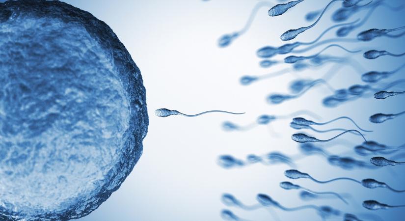 Meddőség: spermaallergia is állhat a háttérben