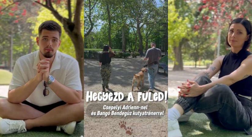 Beszéljünk az érzékszervekről! – Hegyezd a füled! (videó)