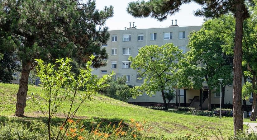 Nincs bocsánat a vénkerti támadásra, kisiklott életét próbálja helyretenni a fél szemére megvakult Gábor